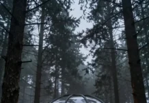 Sleeping Under the Stars: 5 Glass Domes Tucked in the Mountains