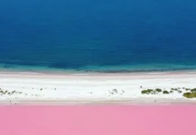 The Pink Lakes of the World: Nature’s Most Surreal Colors.