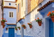 The Blue City