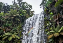 Secret Waterfalls